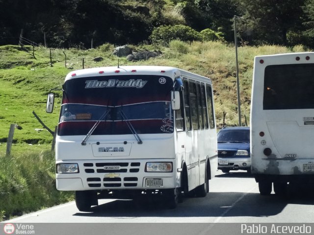 L�nea Cultura 29 por Pablo Acevedo