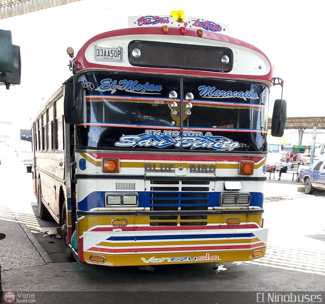 Colectivo San Rafael 02 por �ngel Delgado