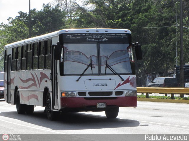 A.C. de Transporte Encarnaci�n 319 por Pablo Acevedo