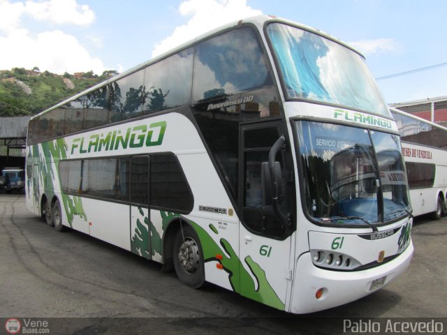 Expresos Flamingo 0061 por Pablo Acevedo
