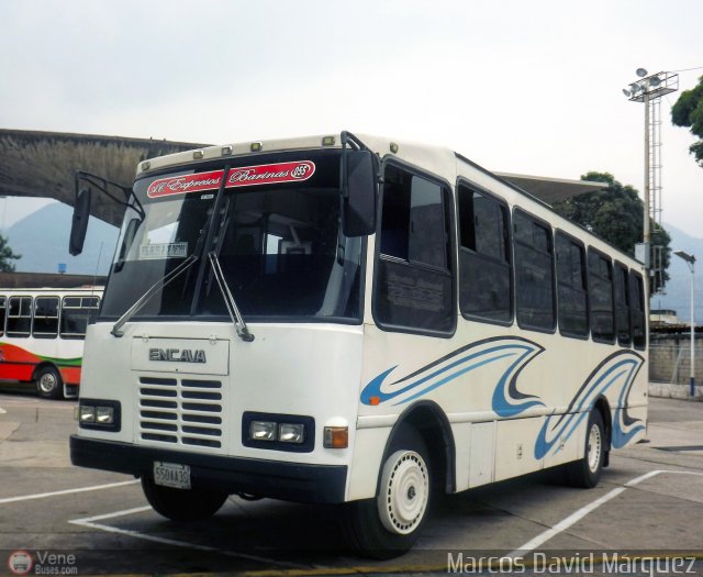 A.C. Expresos Barinas 055 por Marcos David M�rquez