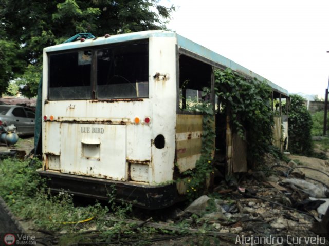 En Chiveras Abandonados Recuperaci�n AC0026 por Alejandro Curvelo