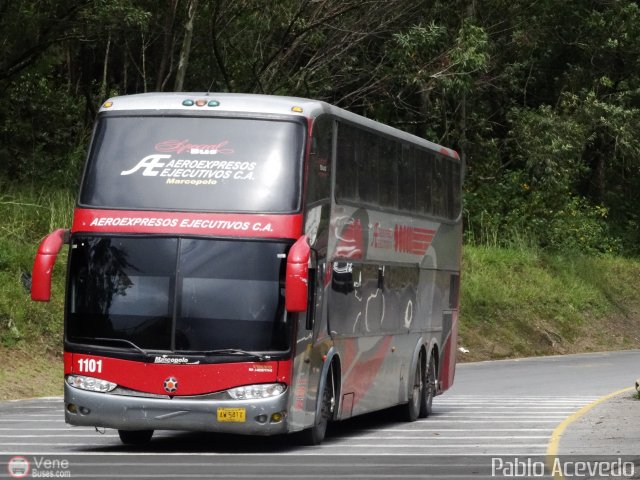 Aeroexpresos Ejecutivos 1101 por Pablo Acevedo