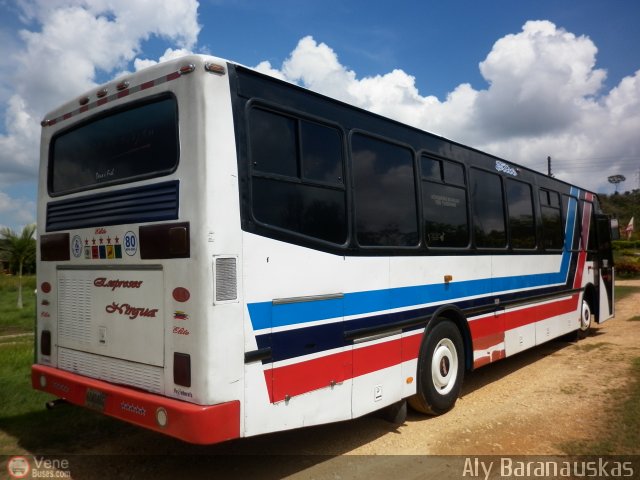 Expresos Nirgua 0044 por Aly Baranauskas