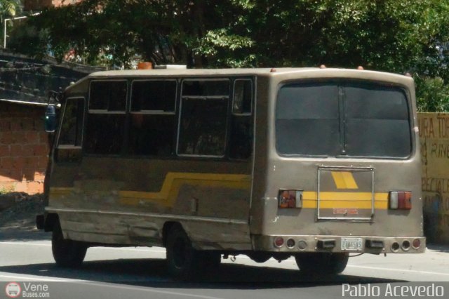 DC - Tigres de Plan de Manzano 019 por Pablo Acevedo