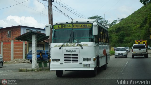 A.C. L�nea Col�n 08 por Pablo Acevedo