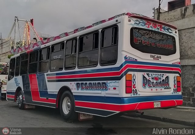 Expresos Pegamar 0014 por Alvin Rond�n