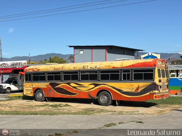 Transporte Guacara 0010 por Leonardo Saturno