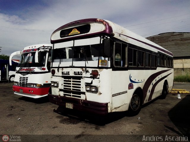 CA - Uni�n Caribe C.A. 04 por Andr�s Ascanio