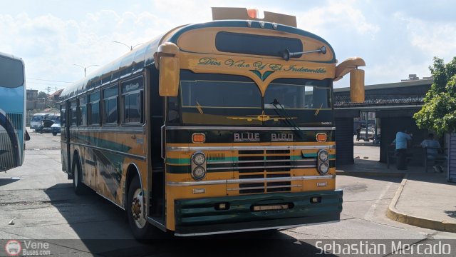 ZU - Colectivos Concepcin 065 por Sebastin Mercado