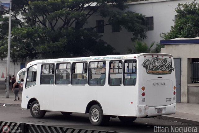 Organizaci�n Guaicamacuto 262 por Dilan Noguera