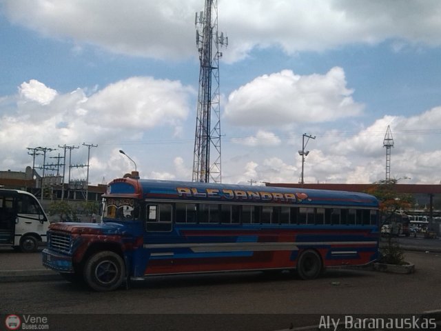 A.C. de T. Los Petroglifos de Vigirima 874 R.L. 002 por Aly Baranauskas