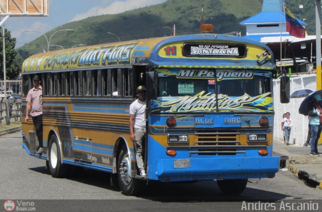 A.C. de Transporte Santa Ana 11 por Andr�s Ascanio