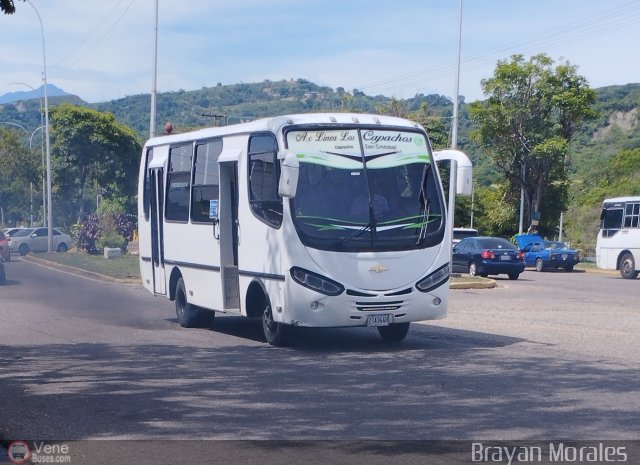 TA - A.C. L�nea Los Capachos 46 por Jerson Nova