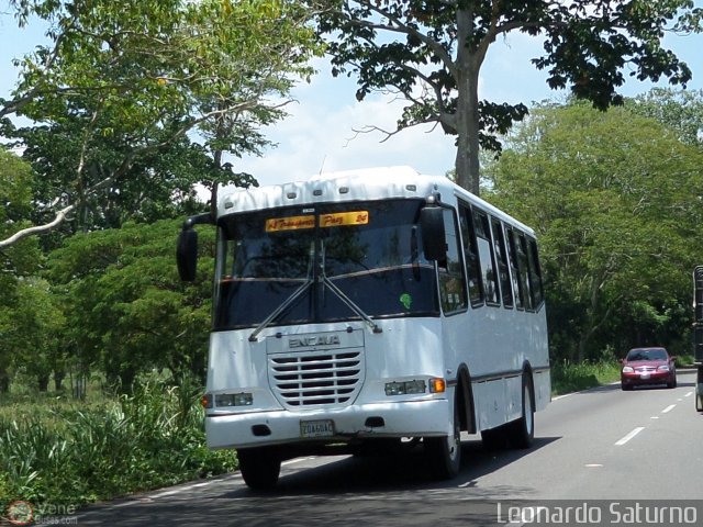 A.C. Transporte Paez 024 por Leonardo Saturno