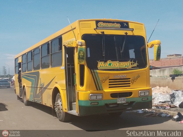 ZU - Concepci�n - Palito Blanco 015 por Sebasti�n Mercado