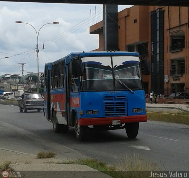 A.C. de Transporte La Raiza 012 por Jes�s Valero