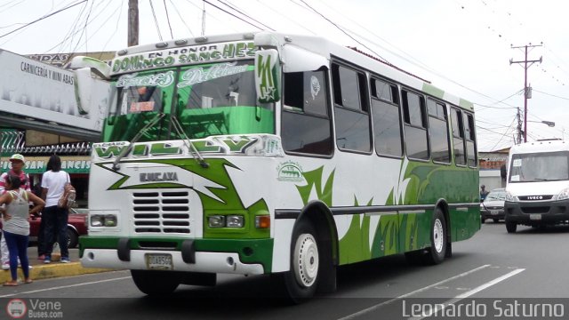 S.C. L�nea Transporte Expresos Del Chama 176 por Leonardo Saturno