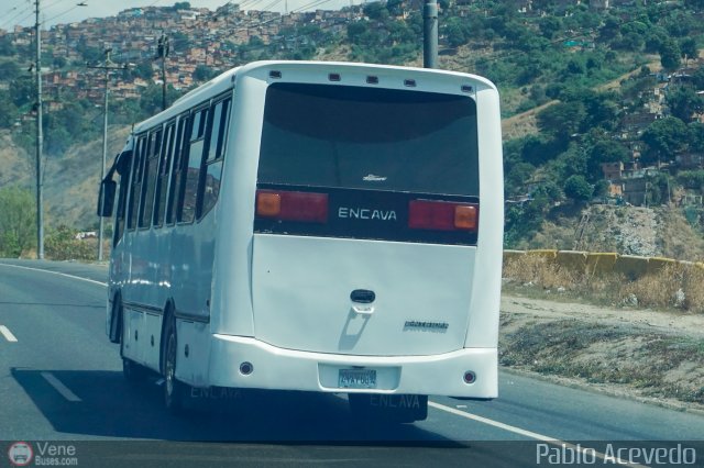 A.C. Don Augusto Malave Villalba 200 por Pablo Acevedo