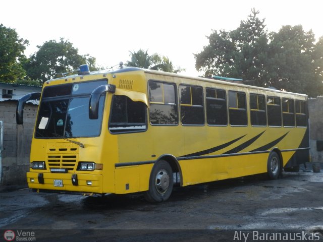 Particular o Desconocido 013 por Aly Baranauskas