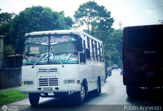 MI - L�nea Miranda 029 por Pablo Acevedo