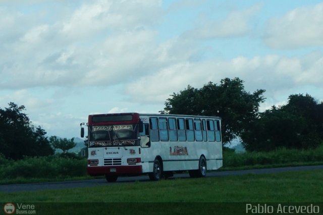 Transporte Bonanza 0022 por Pablo Acevedo