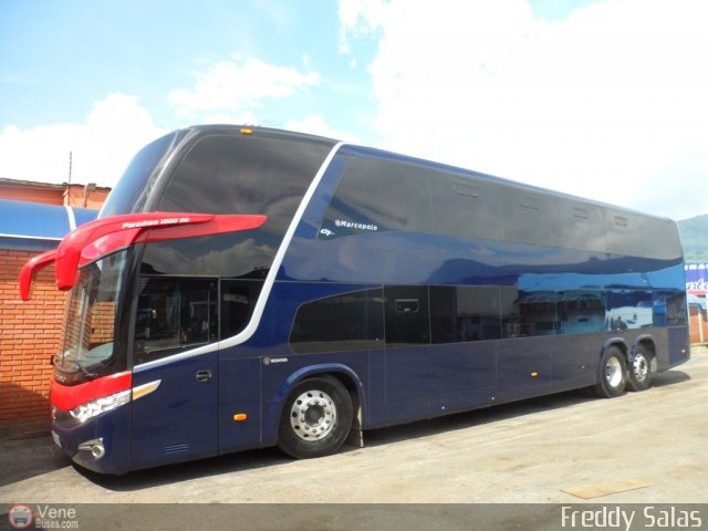 Tigres de Aragua B.B.C. 01 por Freddy Salas