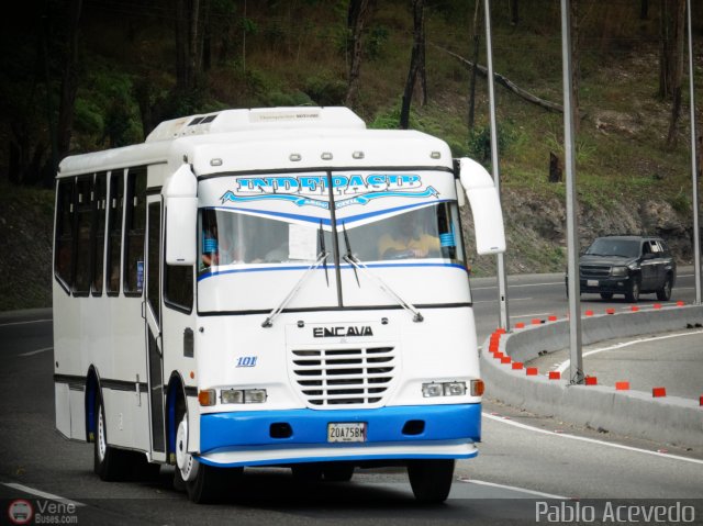 A.C. Indepasib 101 por Pablo Acevedo