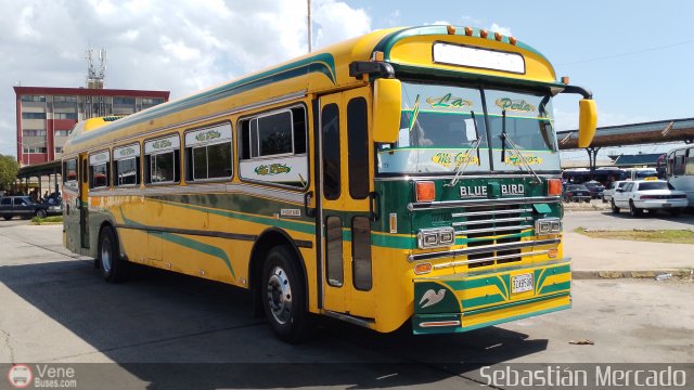 ZU - Colectivos Concepción 073 por Sebastián Mercado