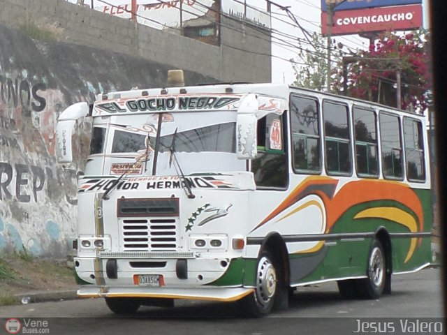 A.C. Transporte Zamora 03 por Jes�s Valero
