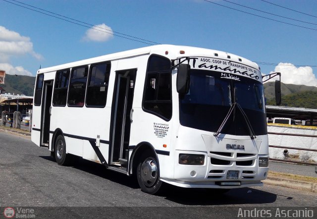A.C. de Transporte Sol de Tamanaco 24 por Andr�s Ascanio