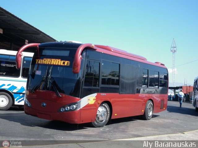 A.C. de Transporte Sol de Tamanaco 46 por Aly Baranauskas