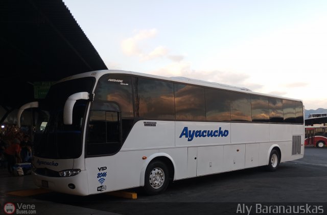 Unin Conductores Ayacucho 2046 por Aly Baranauskas