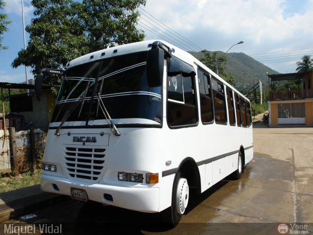 Ejecutivos Kova 009 por Miguel Vidal