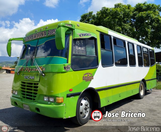 Cooperativa 109 016 por Jos� Brice�o