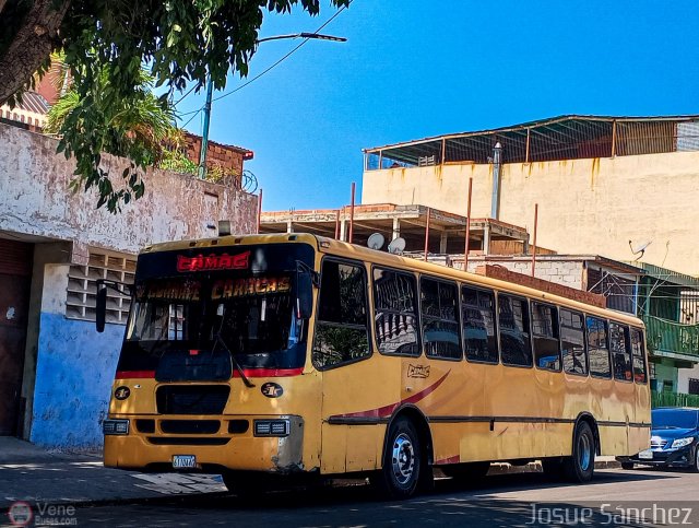 Transporte Colectivo Camag 01 por Josue Snchez