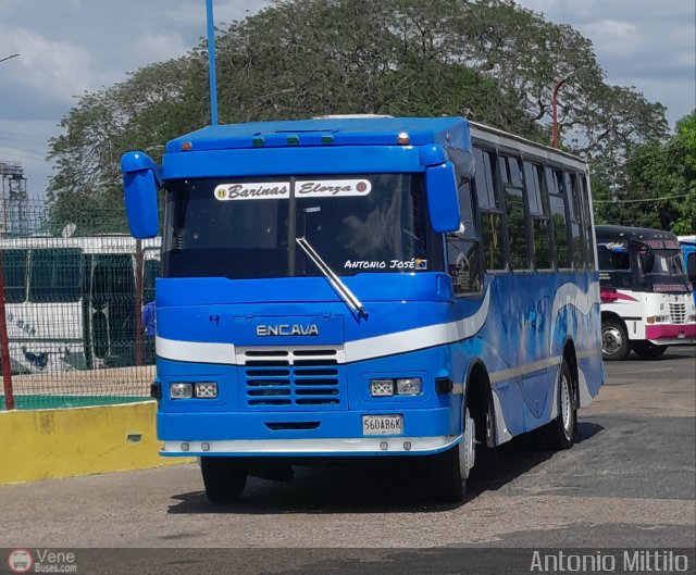 A.C. Barinas Elorza 13 por Antonio Mittilo