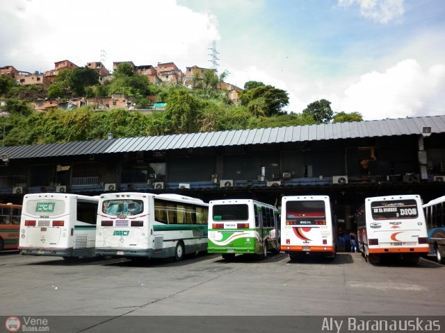 Garajes Paradas y Terminales Caracas por Aly Baranauskas