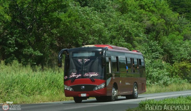 Uni�n Venezuela 81 por Pablo Acevedo