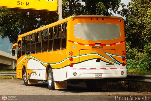 Transporte Unido 010 por Pablo Acevedo