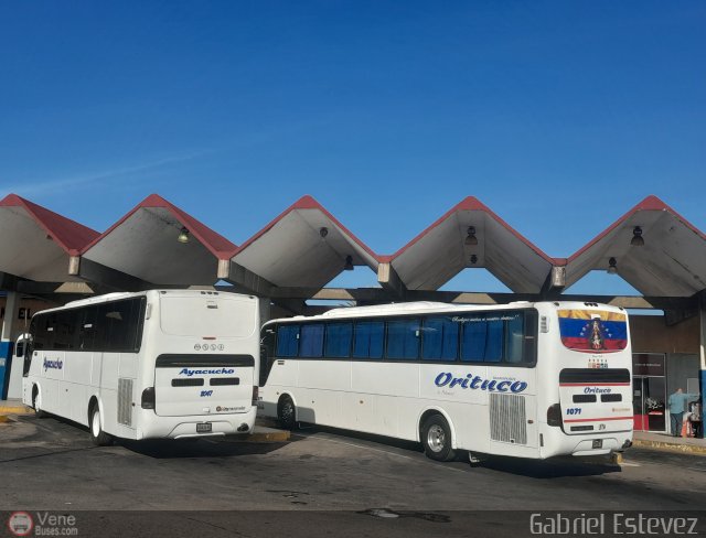 Garajes Paradas y Terminales Puerto-Ordaz por Gabriel Estevez