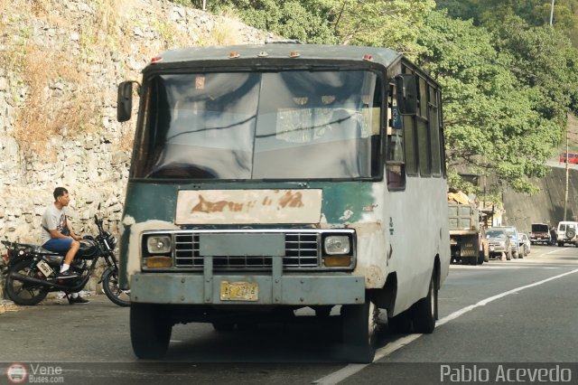 DC - Tigres de Plan de Manzano 052 por Pablo Acevedo
