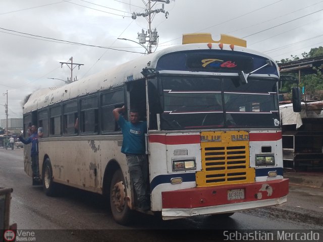 Colectivos Tul� C.A. 19 por Sebasti�n Mercado