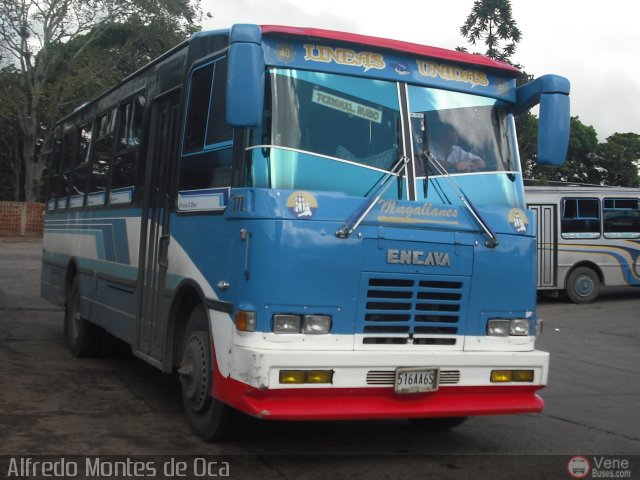 A.C. L�neas Unidas 40 por Alfredo Montes de Oca