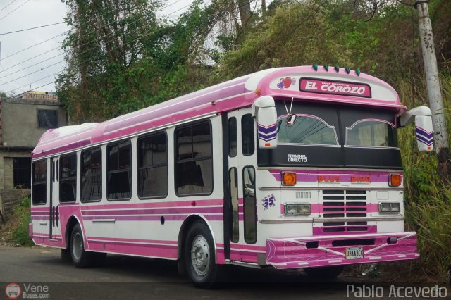 TA - Uni�n Transporte El Corozo S.A. 35 por Pablo Acevedo