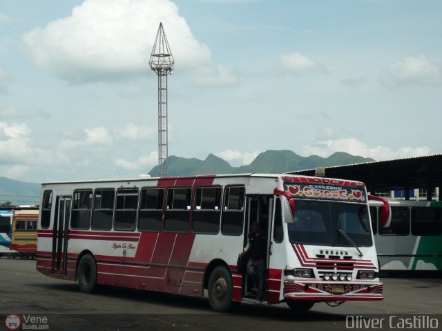 Expresos G�ig�e 06 por Oliver Castillo