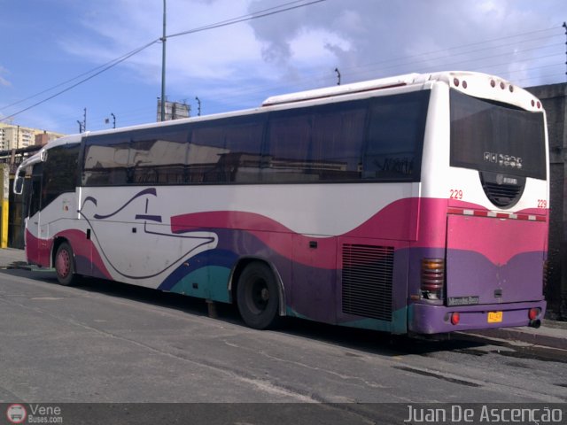Cruceros Oriente Sur 229 por Juan De Ascen��o