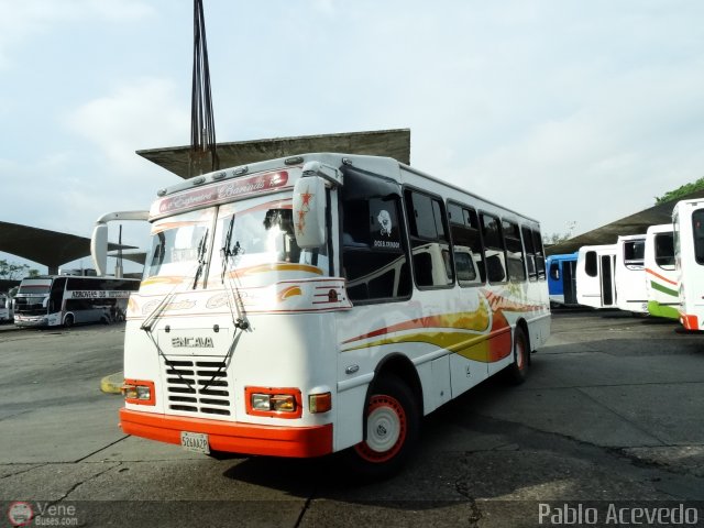 A.C. Expresos Barinas 133 por Pablo Acevedo