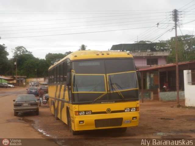 Particular o Desconocido 04 por Aly Baranauskas