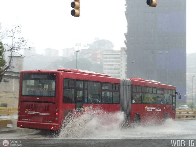 Bus CCS 0101 por Waldir Mata